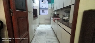 1 BHK Apartment For Rent in Deepak Mahal CHS Worli Mumbai  8052191