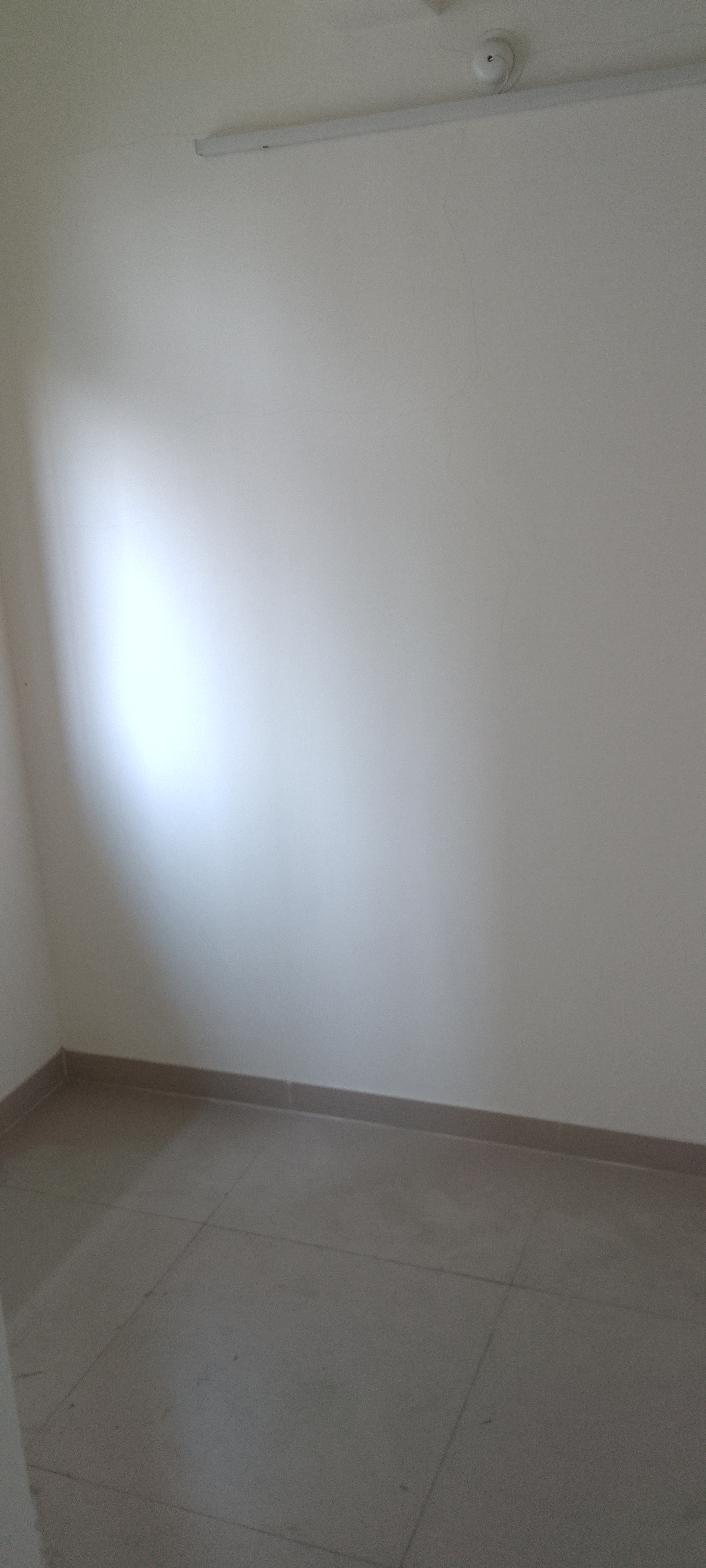 1.5 BHK Apartment For Sale in Panom Park