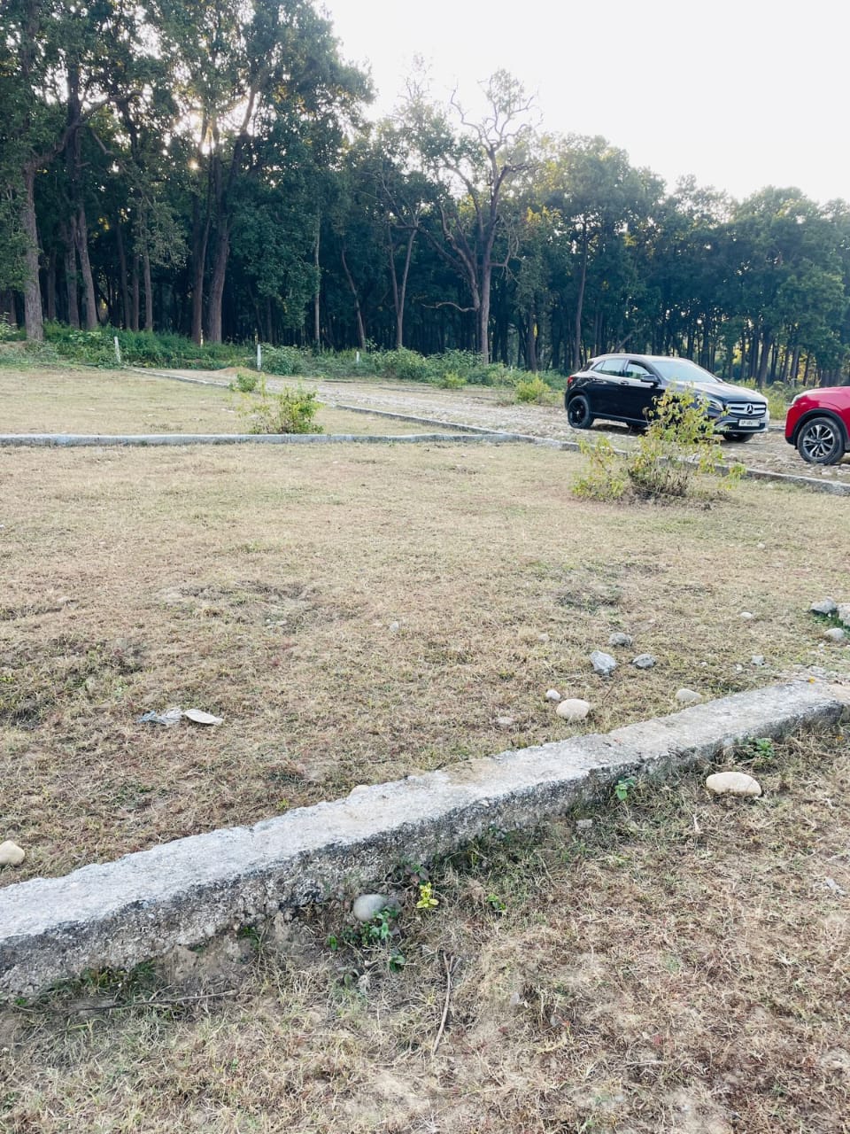 Plot For Sale in Shimla By Pass Sherpur 