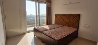 2 BHK Apartment For Rent in NK Sharma Savitry Greens 2 Ghazipur Zirakpur  8052343