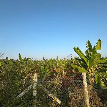  Plot – Garden View at Kanakapura - for Sale