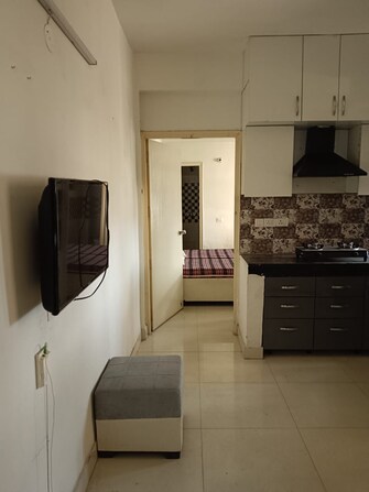 2 BHK Apartment For Rent in Signature Global Synera Sector 81 Gurgaon  8052533