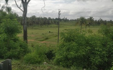 Plot For Sale in Hebbal