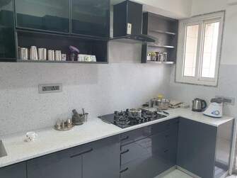 2 BHK Apartment For Rent in Hitech City Hyderabad  8052915