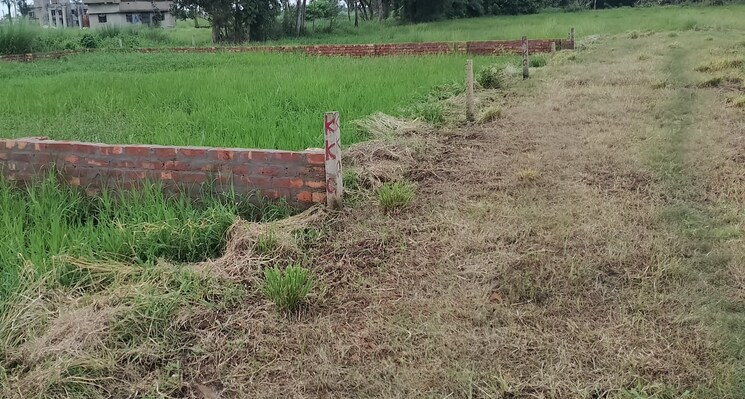 undefined, joka  2160 Sq.Ft. Plot In Joka Kolkata 8052974