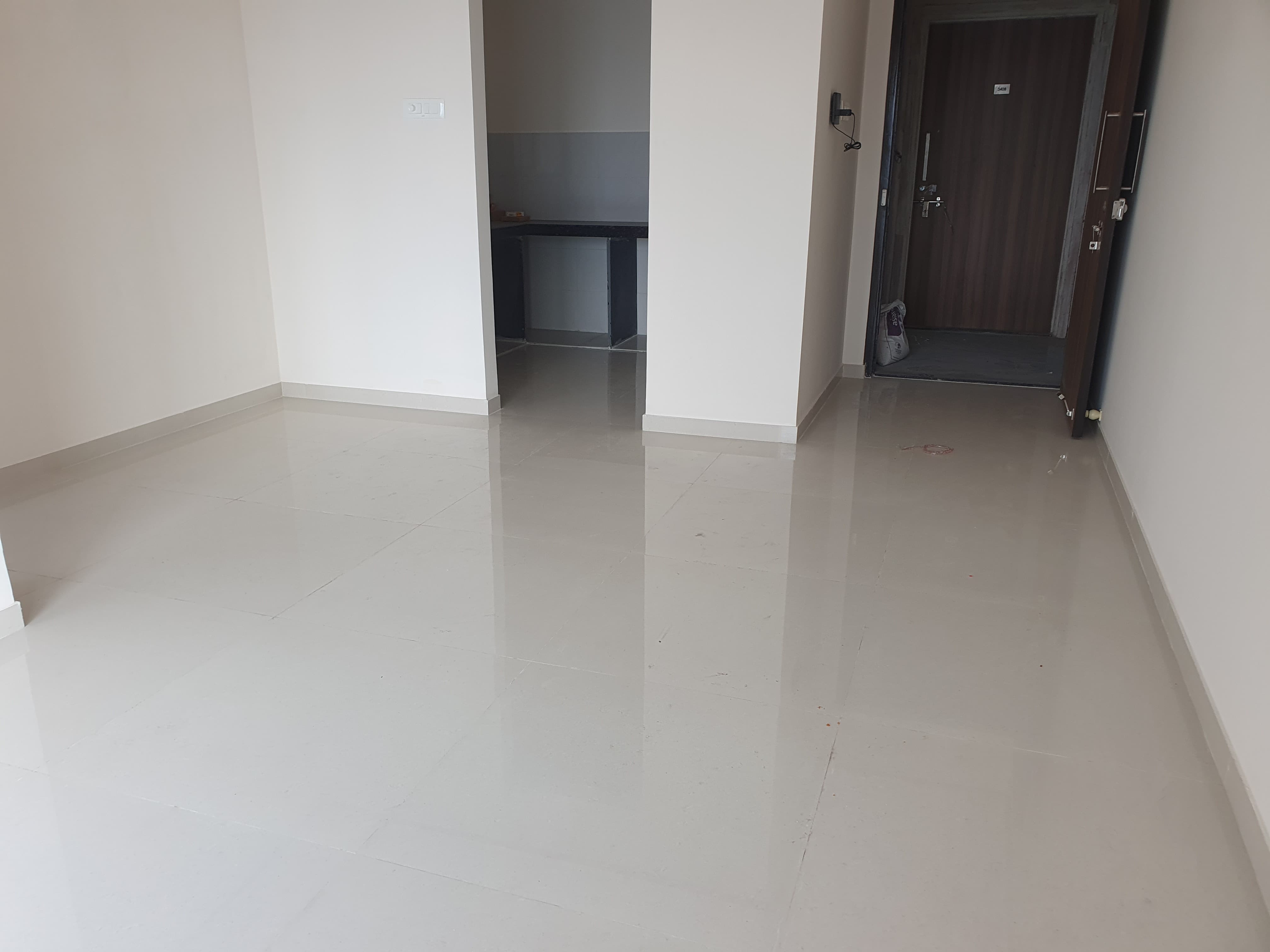 1 BHK Apartment For Sale in Ashar Axis