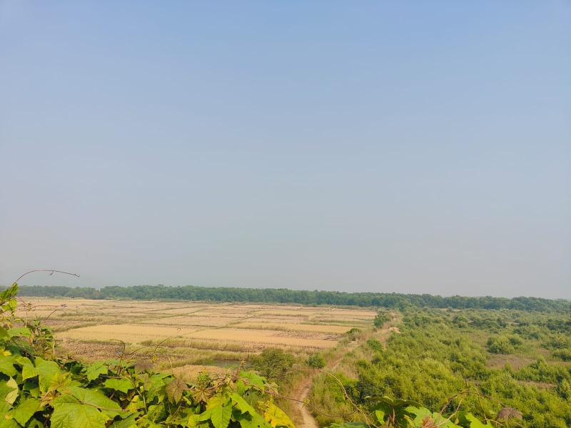 Plot For Sale in Vindhane