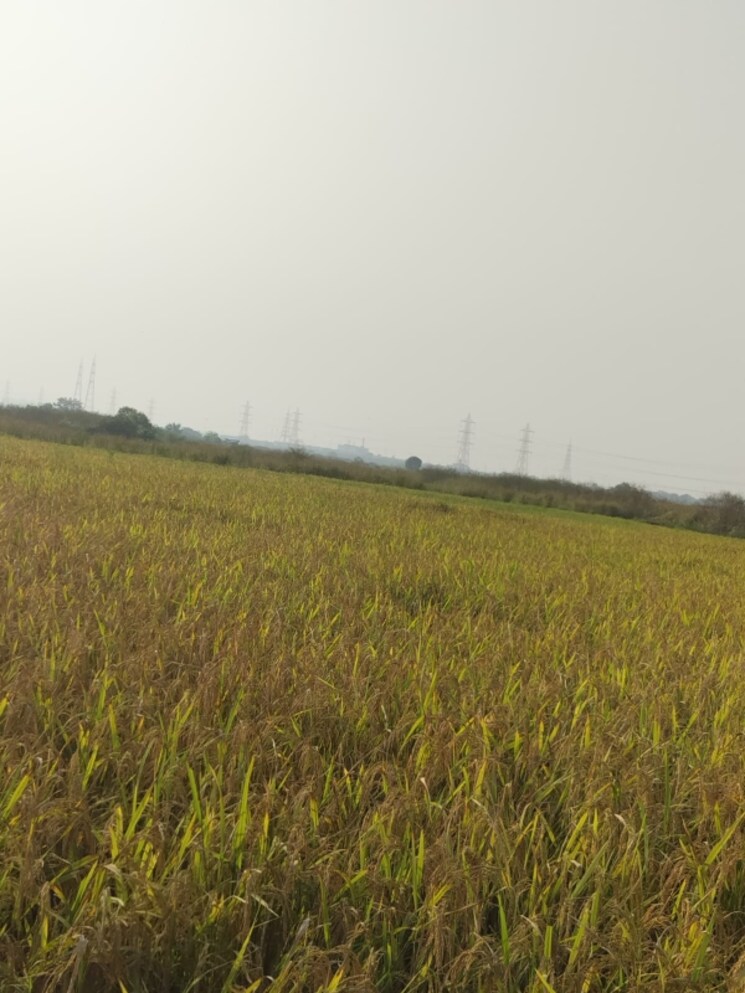 undefined, vindhane  1089 Sq.Ft. Plot In Vindhane Navi Mumbai 8053092