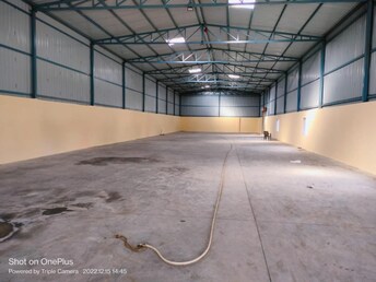 Commercial Warehouse 10000 Sq.Ft. For Rent in Wagholi Pune  8052967