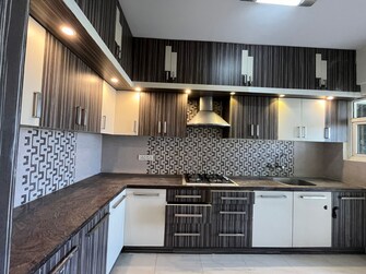 3 BHK Apartment For Rent in Salarpuria Serenity Hsr Layout Bangalore  8053255