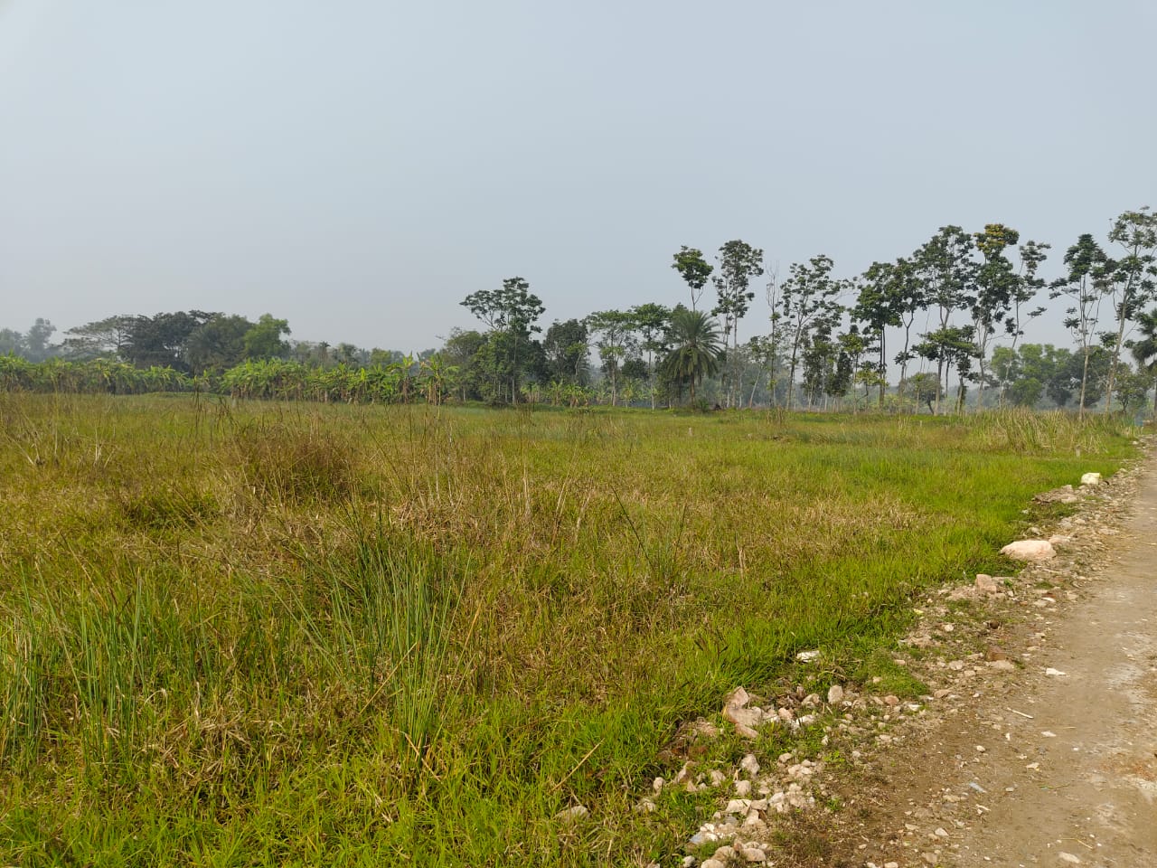 Plot For Sale in Nest Valley 