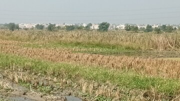 Plot Area in  Plot at Sonarpur – for Sale