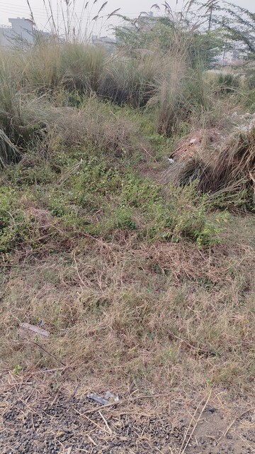  Plot For Sale in Sector 2