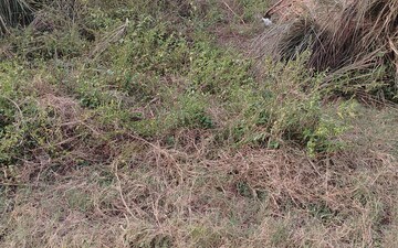 Plot For Sale in Sector 2