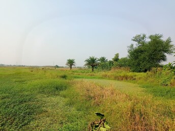 Plot For Resale in Sonarpur Kolkata  8053588