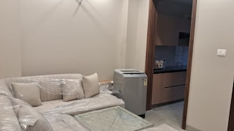 2 BHK Apartment For Rent in Ameya One Sector 42 Gurgaon  8053574