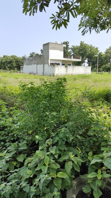 Plot For Resale in Sector 12 Noida  8053670