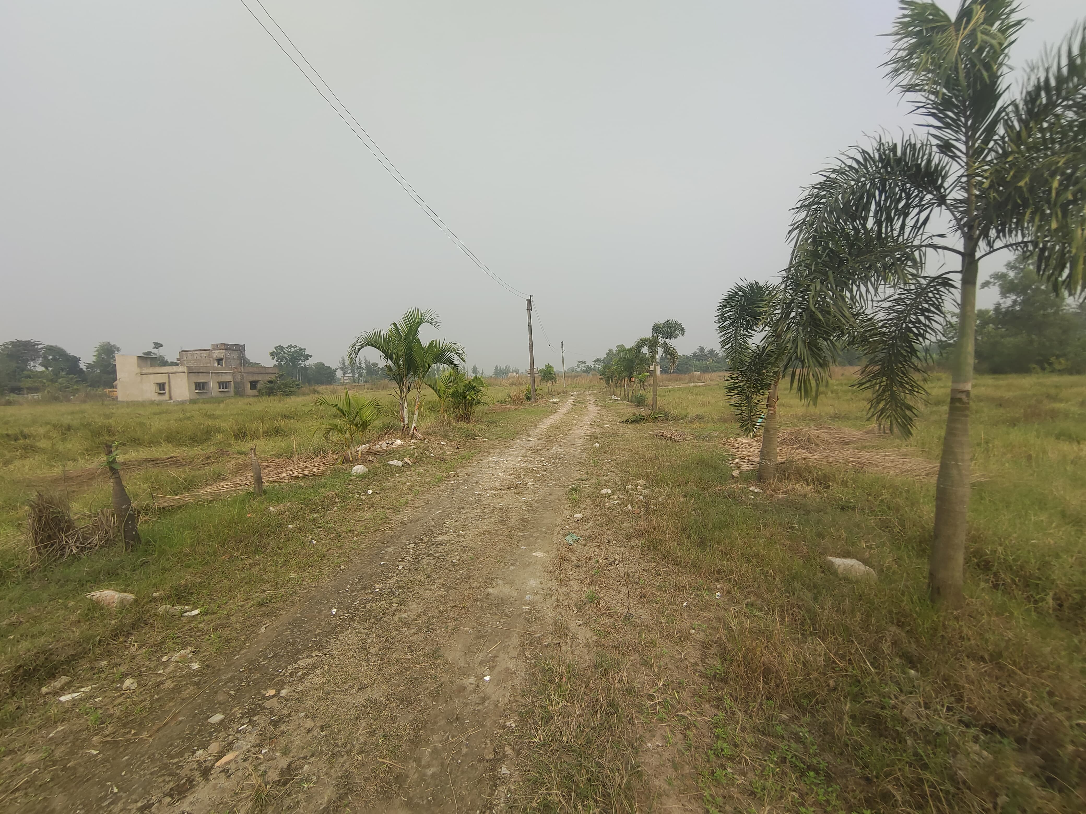 Plot For Sale in Green Plaza 