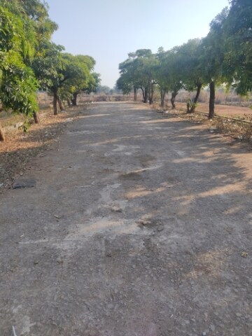 Plot Area in  Plot at Chandi – for Sale