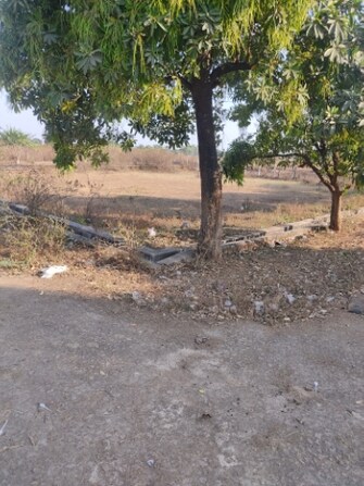 Plot For Resale in Chandi Raipur  8053871