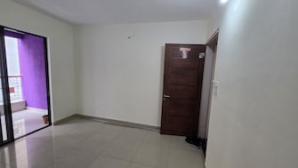 1 BHK Apartment For Rent in Nanded City Sinhagad Road Pune  8053995