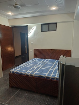 1 BHK Independent House For Rent in Ansal Plaza Sector-23 Sector 23 Gurgaon  8053980