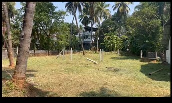 Plot For Resale in Kanattukara Thrissur  8054066