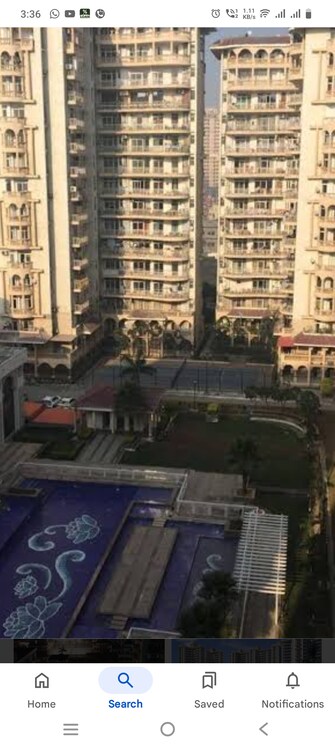 4 BHK Apartment For Rent in Amrapali Sapphire Sector 45 Noida  8054067