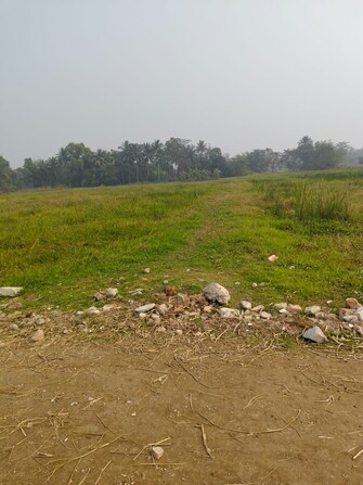 Plot For Resale in Kalikapur Kolkata  8054216