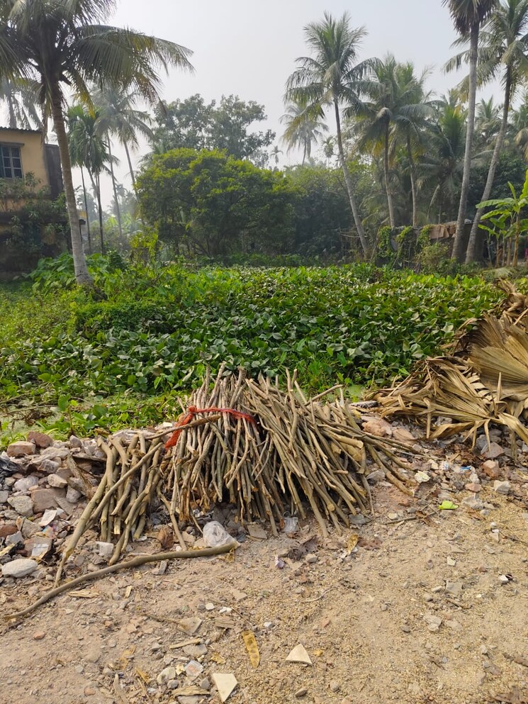 undefined, kalikapur  1440 Sq.Ft. Plot In Kalikapur Kolkata 8054216