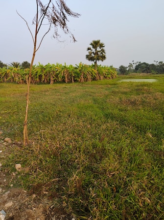 Plot For Resale in Kalikapur Kolkata  8054216