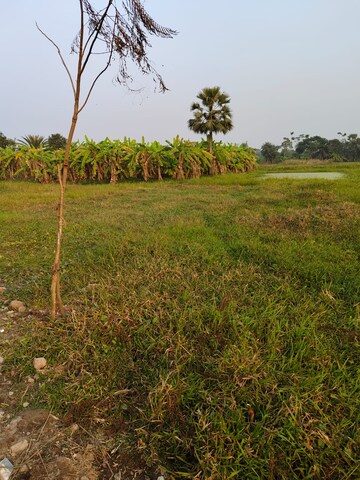 Plot Area in  Plot at Kalikapur – for Sale