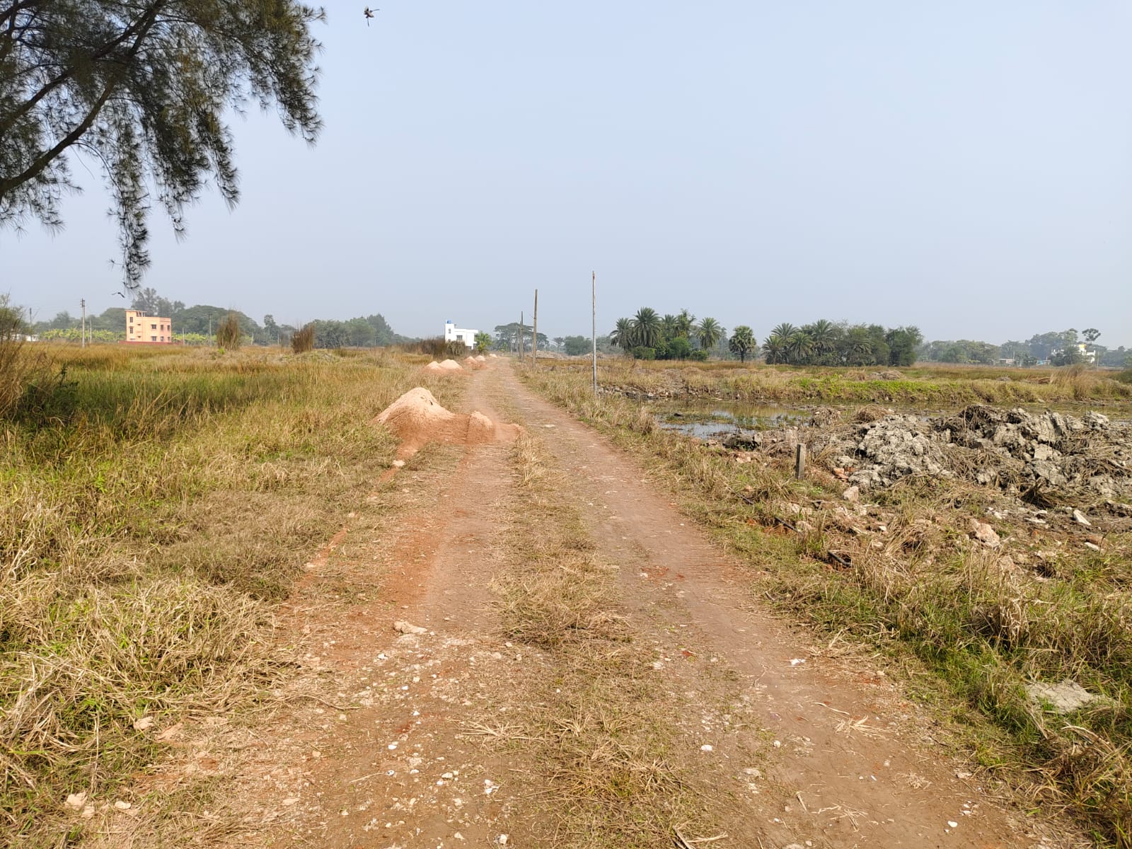 Plot For Sale in Growth Real Estate Pvt lt