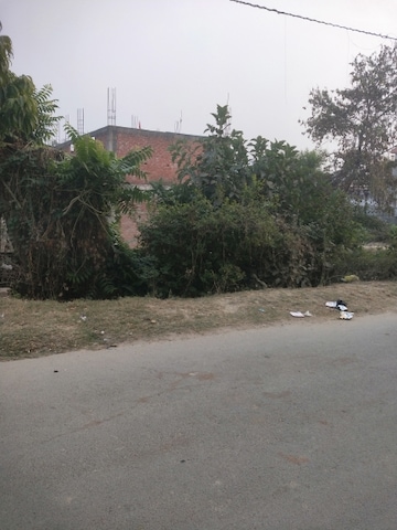 Plot For Resale in Indira Nagar Lucknow  8054312