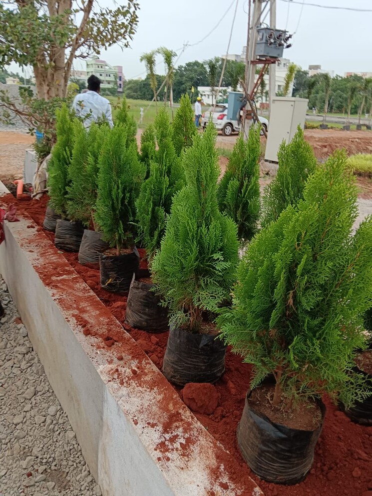 Garden, sree-city-legend  1880 Sq.Yd. Plot In Kankipadu Vijayawada 8054366