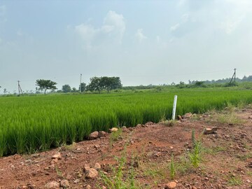 Plot Area in  Plot at Sree City Legend, Kankipadu – for Sale