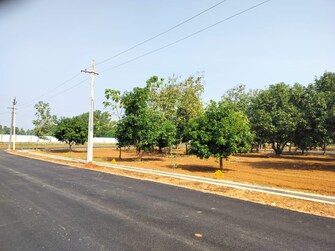 Plot For Resale in Dasannapet Vizianagaram  7412735