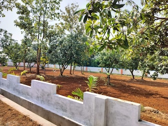 Plot For Resale in Dasannapet Vizianagaram  7412735