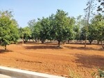 267 Sq.Yd. Plot in Bhoomatha Sindhu Avenue 