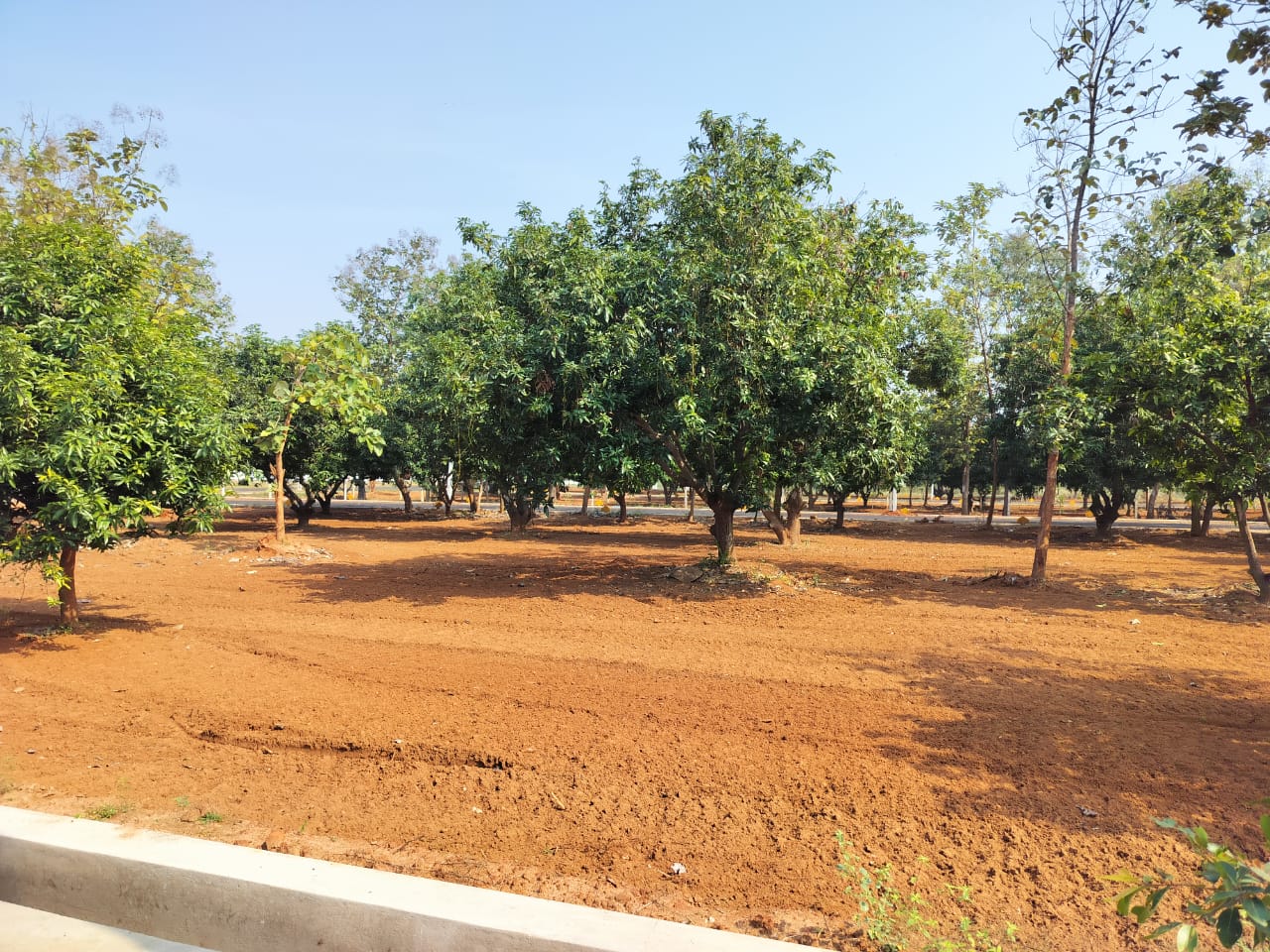 Plot For Sale in Bhoomatha Sindhu Avenue 
