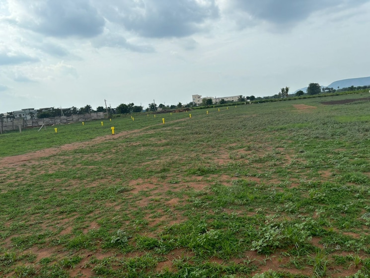 undefined, mangalagiri  200 Sq.Yd. Plot In Mangalagiri Vijayawada 8054405