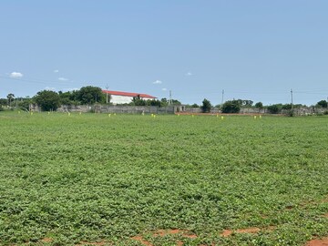 Plot Area in  Plot at Mangalagiri – for Sale