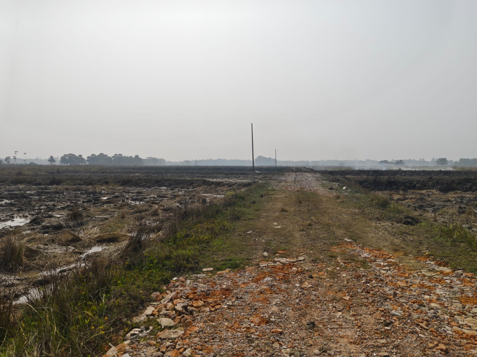 Plot For Sale in Nest Valley 