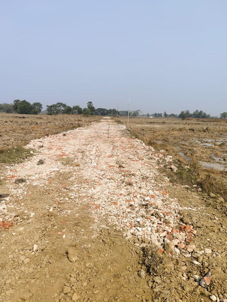 undefined, santoshpur  2160 Sq.Ft. Plot In Santoshpur Kolkata 8054609