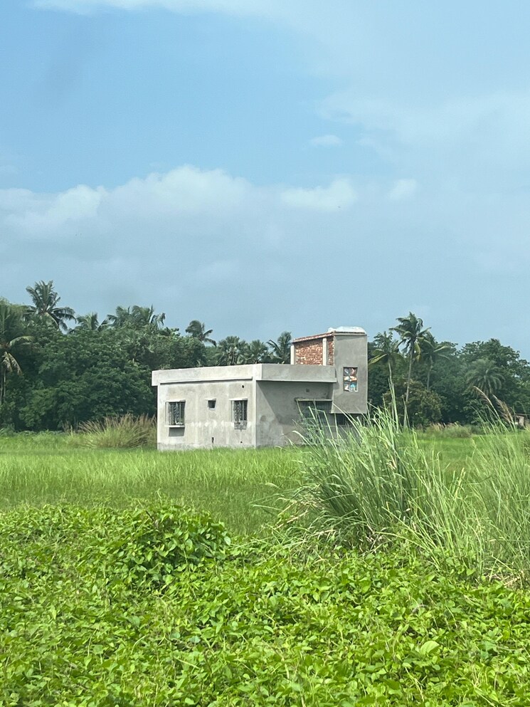 Exterior View, santoshpur  2160 Sq.Ft. Plot In Santoshpur Kolkata 8054609