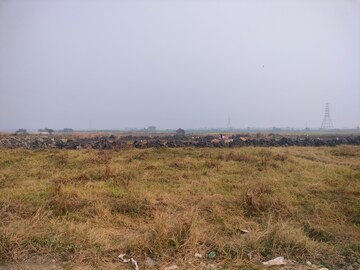 Plot Area in  Plot at Pailan – for Sale