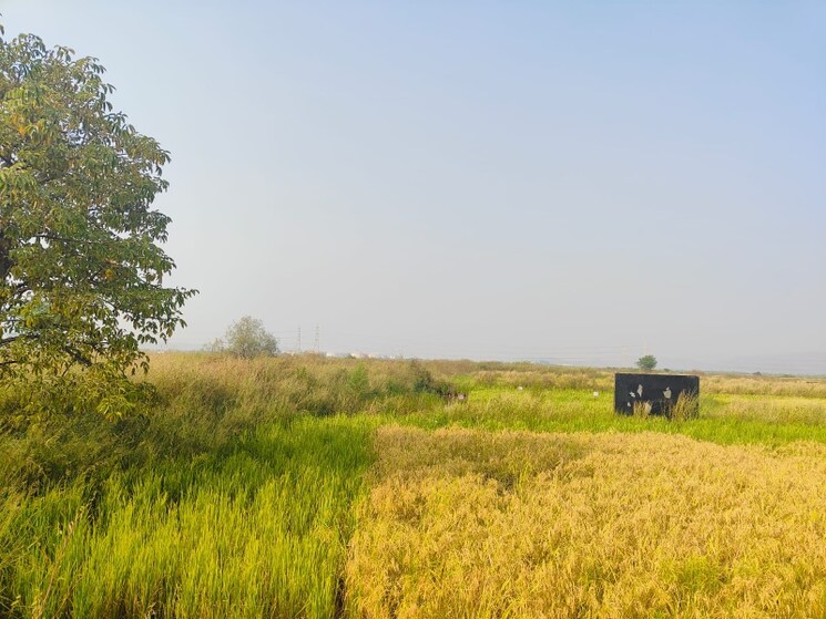 undefined, vindhane  1089 Sq.Ft. Plot In Vindhane Navi Mumbai 8054840