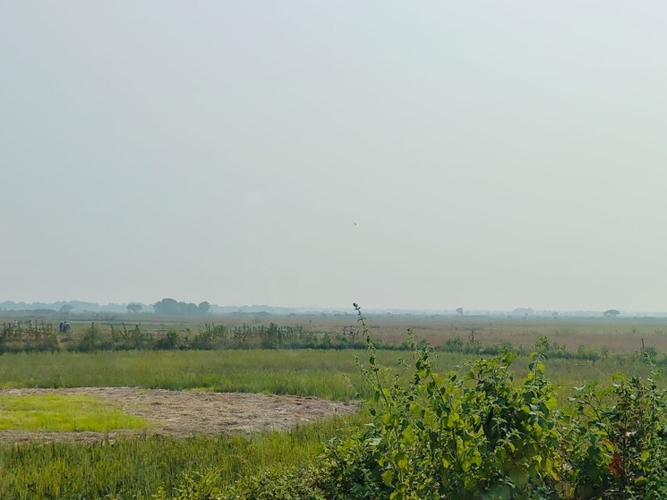 undefined, vindhane  1089 Sq.Ft. Plot In Vindhane Navi Mumbai 8054840