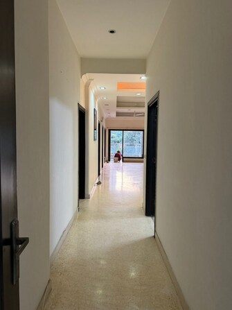 4 BHK Builder Floor For Rent in DLF City Phase III Sector 24 Gurgaon  8054880