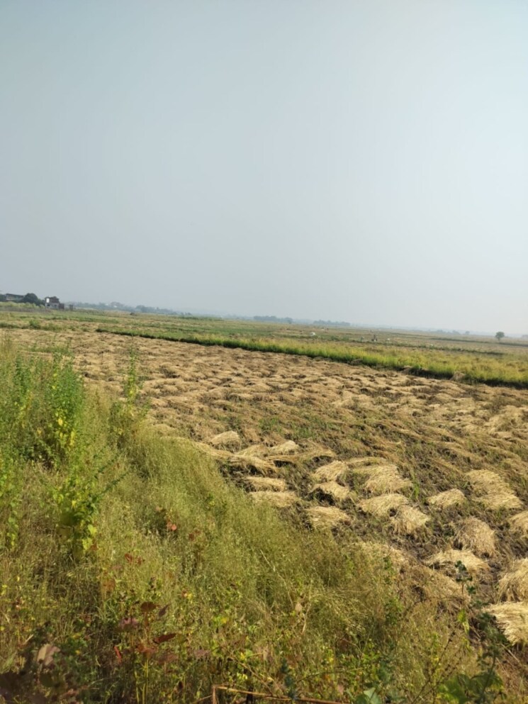 undefined, vindhane  1089 Sq.Ft. Plot In Vindhane Navi Mumbai 8054886